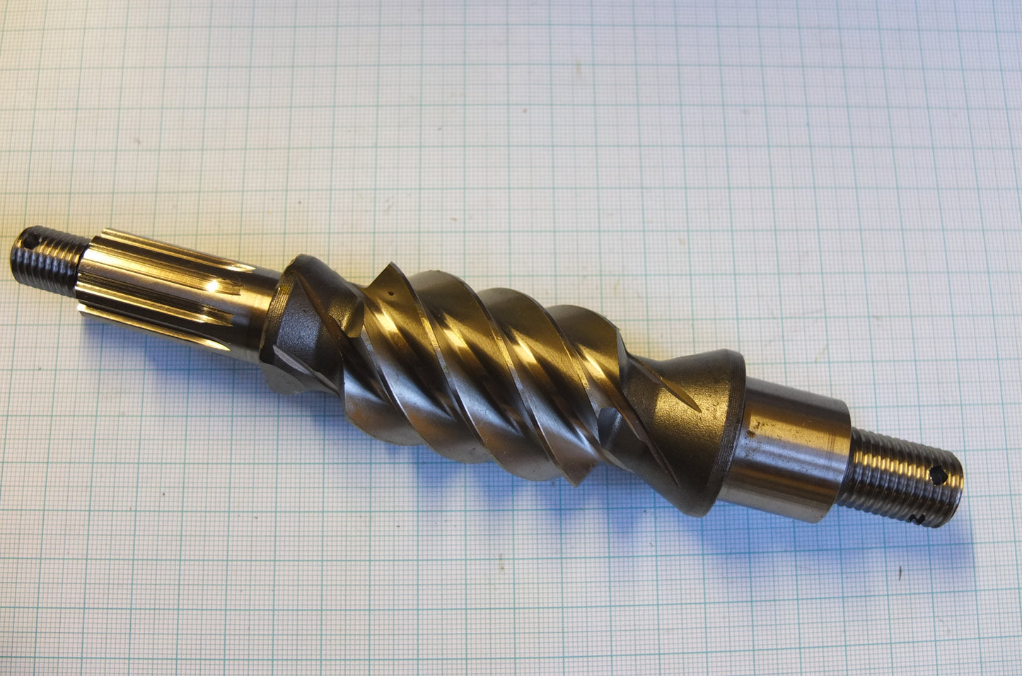 P8/041 Wormshaft