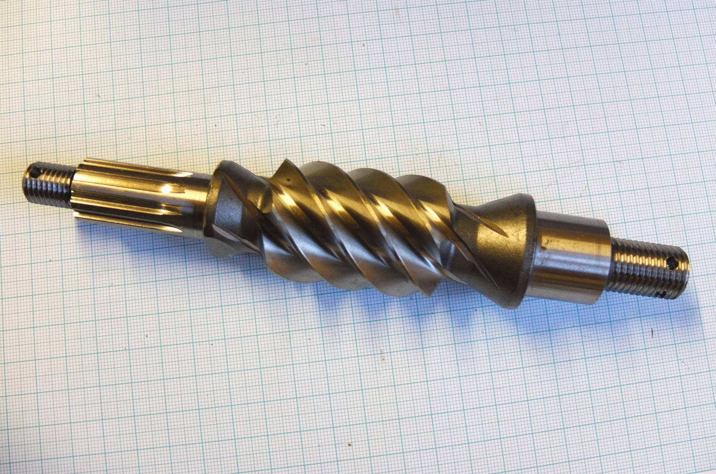 P8/041 Wormshaft