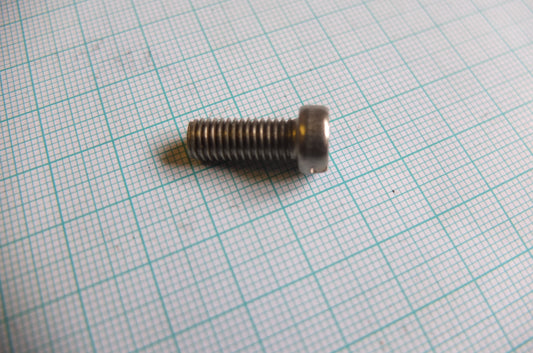 P1/134 Chain tensioner cover screw